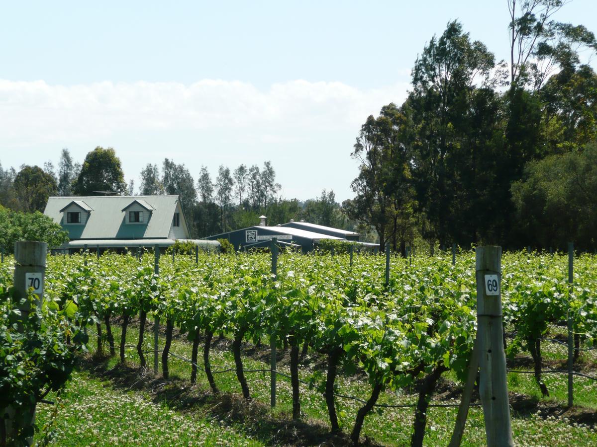 Emma'S Cottage Vineyard Lovedale Exteriér fotografie