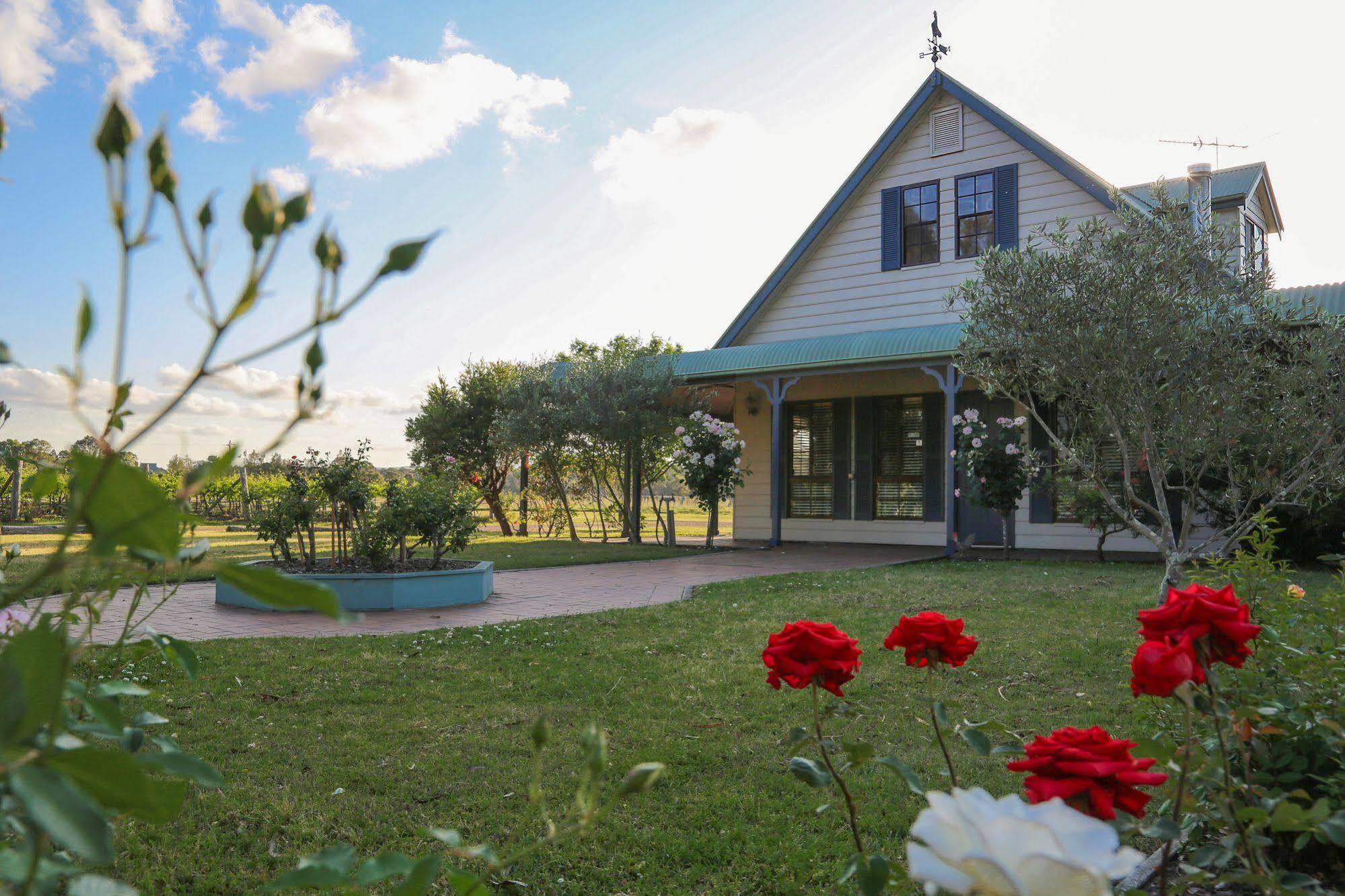 Emma'S Cottage Vineyard Lovedale Exteriér fotografie