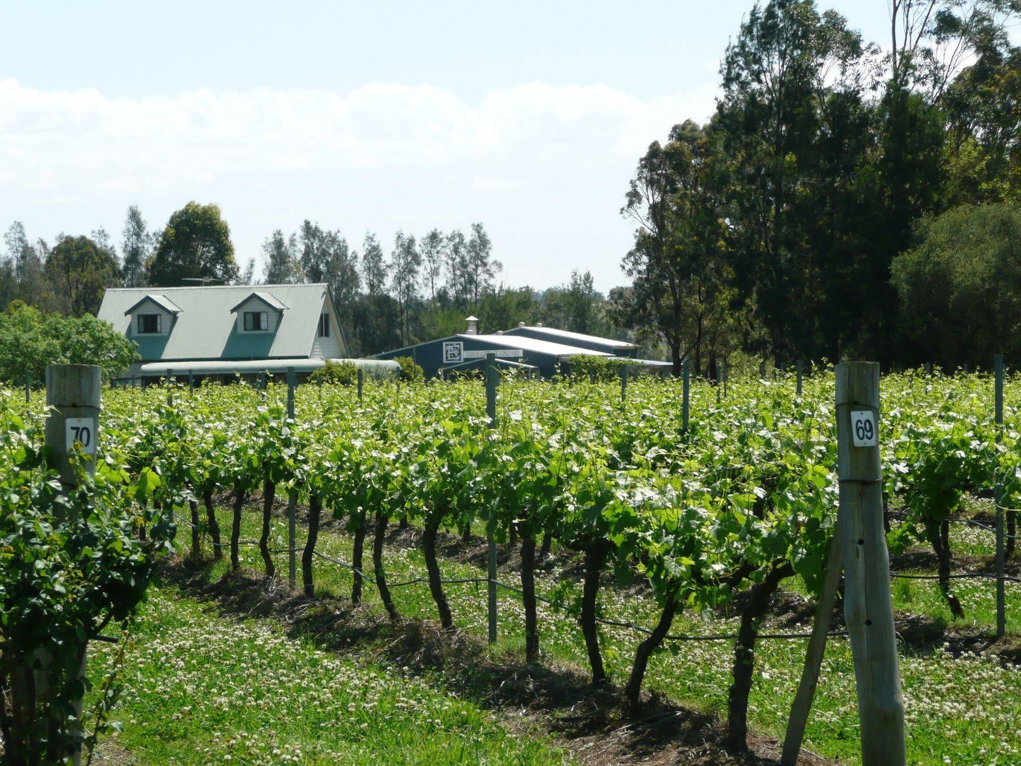 Emma'S Cottage Vineyard Lovedale Exteriér fotografie