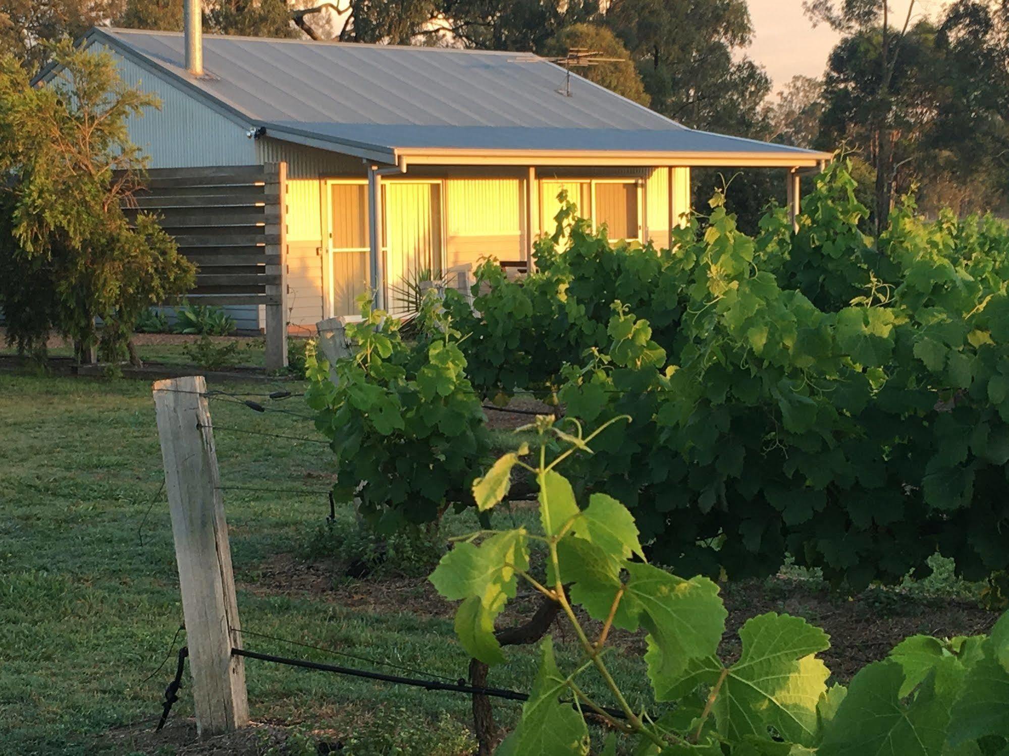 Emma'S Cottage Vineyard Lovedale Exteriér fotografie